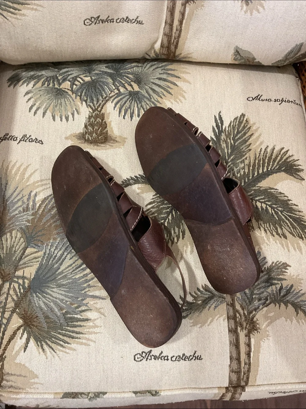 Tommy Bahama tommy bahama